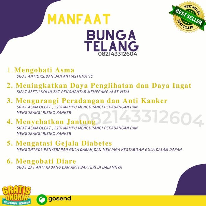 

Bunga Telang Organik 500 Gr/Teh Telang Kering/Teh Biru/ Butterfly Pea Termurah