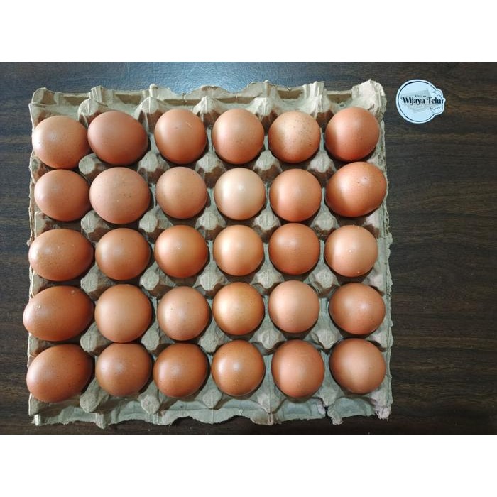 

Telur ayam negri 1 tray isi 30 butir
