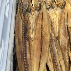 

TELANG TENGGIRI SEEKORAN