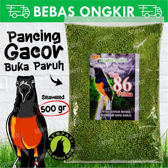 SEMPATI Pur Rumput Laut Top 86 Prima Voer Pakan Makanan Penggacor Burung Murai Kacer Cucak Trucuk