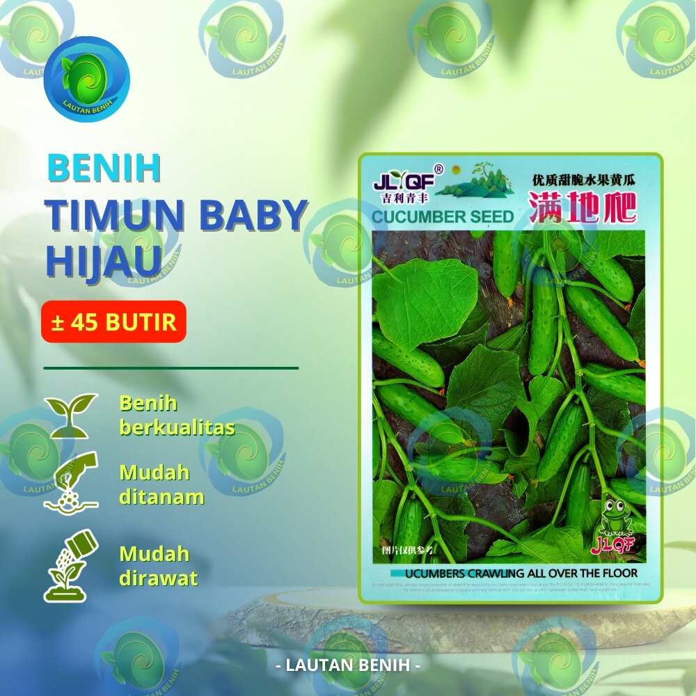 ± 45 BUTIR BENIH TIMUN BABY HIJAU KEMASAN PABRIK IMPORT
