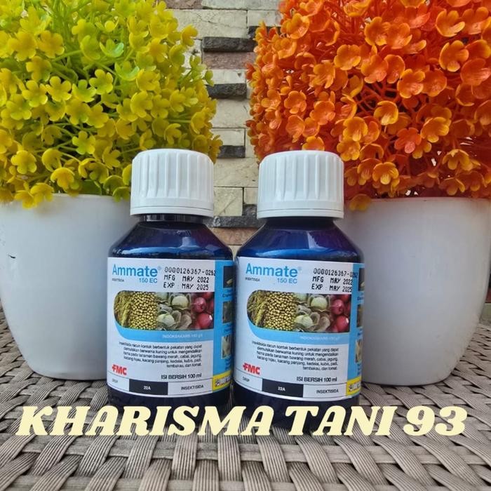 insektisida ammate 100ml