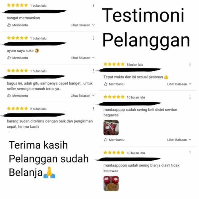 makanan harian ayam poland/pakan harian ayam hias Poland jambul (PAIL)