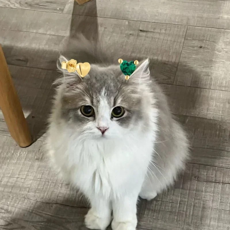 Cat Jewelry Spain Original Jewelry Light Luxury Natural Stone Earrings High Quality European And