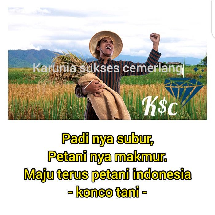 Jaring Burung Emprit / Jaring Penutup Sawah / Jaring Padi Petani