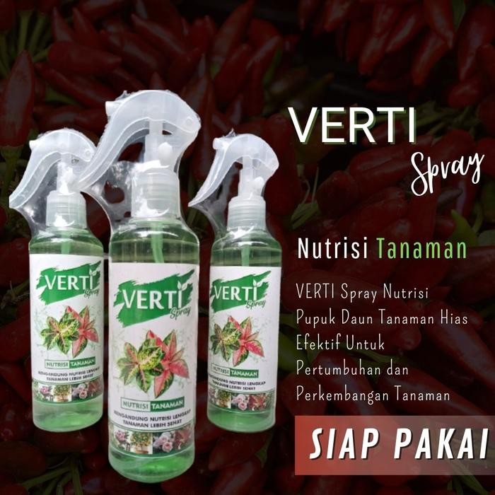 Pupuk Nutrisi tanaman cabai rawit Merah, VERTI SPRAY tanaman sehat