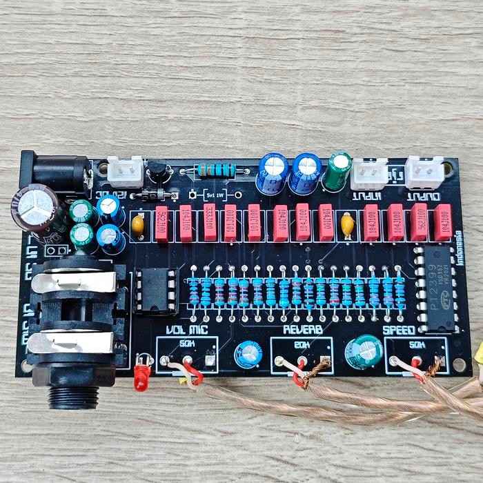 Echo Delay Reverb Microphone Pre-Amp Mic Pt2399 Efek Vocal Amplifier