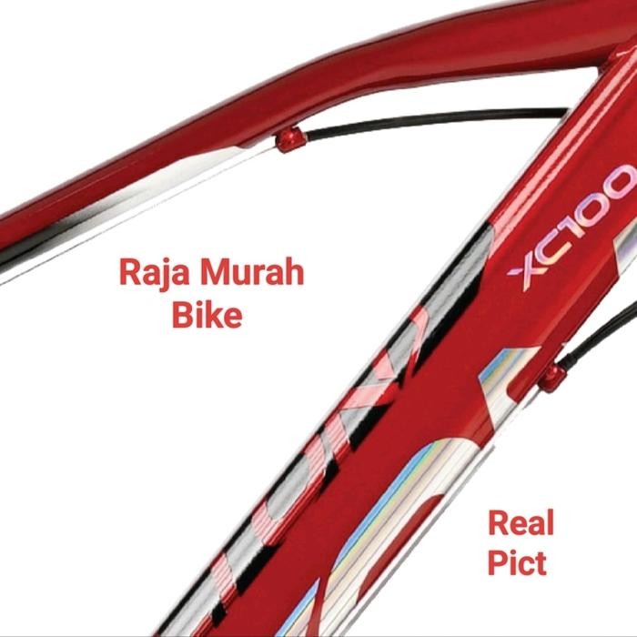 Sepeda Gunung MTB Element Alton XC 100 26 Inch MTB 26 Inch Alton XC100