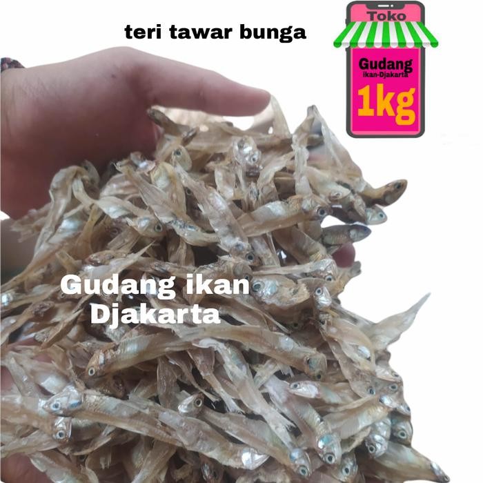 

ikan asin teri tawar bunga super-1kg