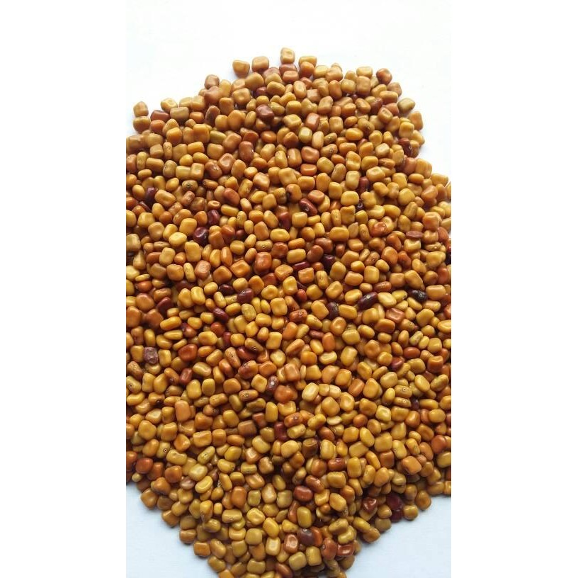 

Kacang Cm / Kacangan Cm (Calopogonium Mucunoides)