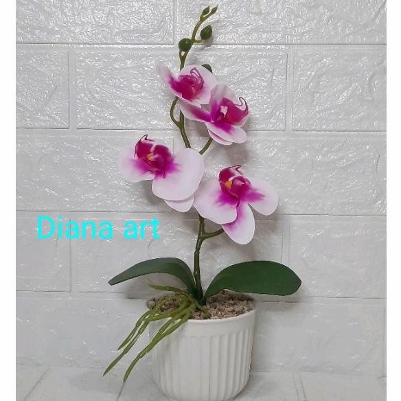anggrek latex#anggrek tiruan#anggrek plastik