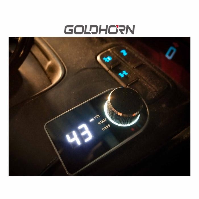 New Goldhorn Dsp Controller Original