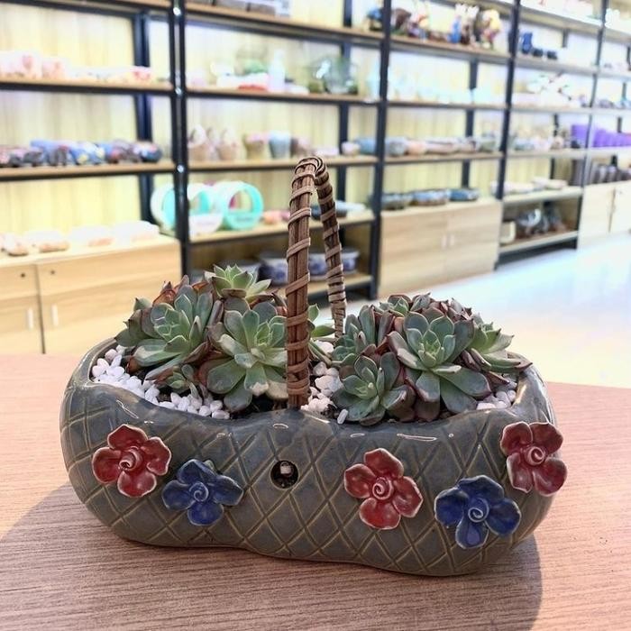 

Pot Keramik Tanaman Bonsai Accessories Hiasan Handle