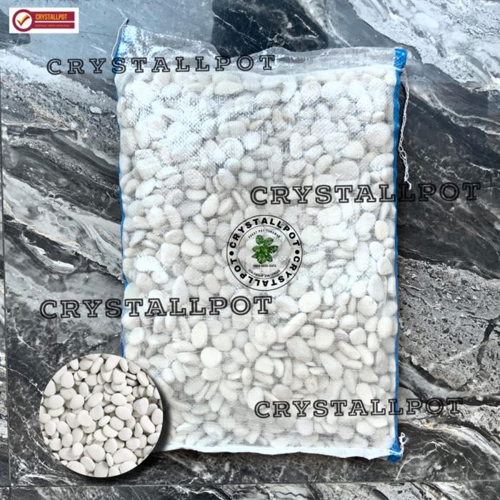 batu koral putih batu taman batu hias 1 karung