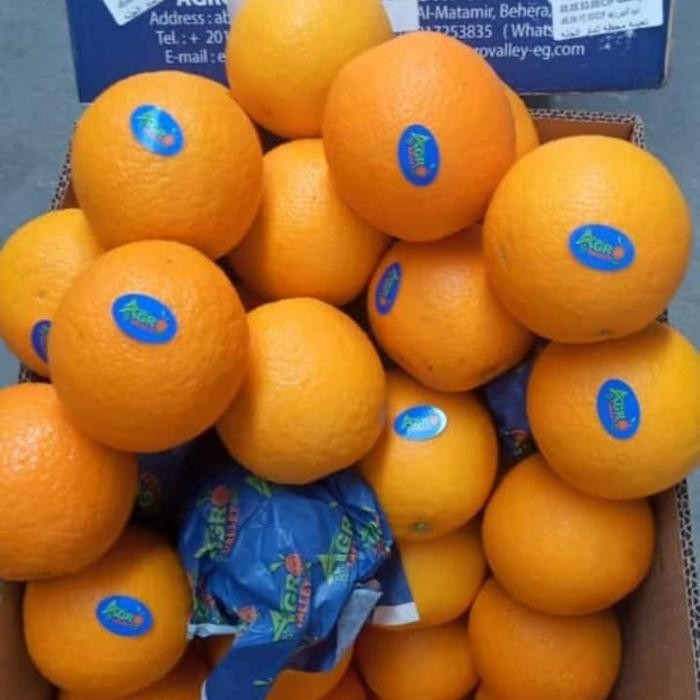 

Glx Jeruk Sunkist 1kg murah