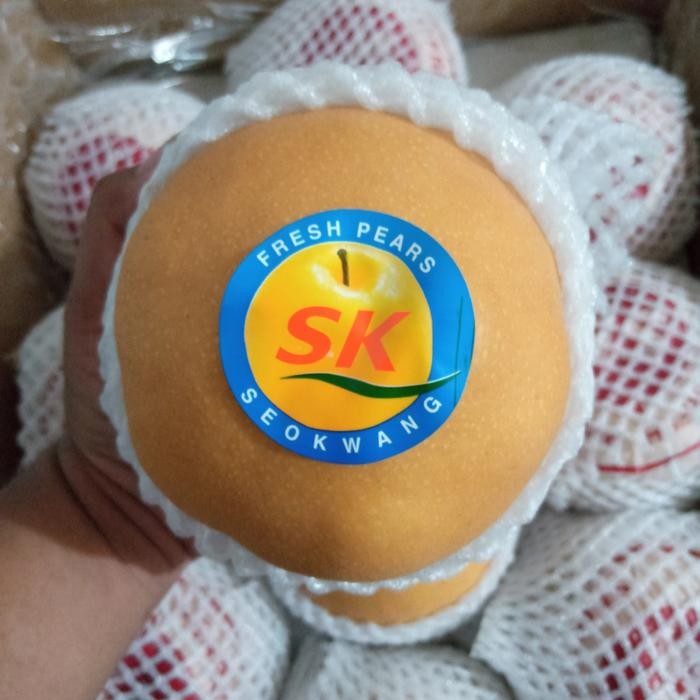 

Glx buah pear singo korea ori asli jumbo manis