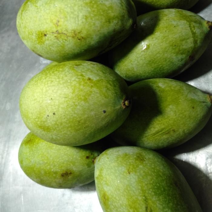 

Glx Mangga manalagi madu