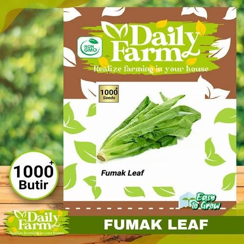 BIJI FUMAK - BIBIT FUMAK - BENIH FUMAK LEAF - MAKANAN KURA DARAT