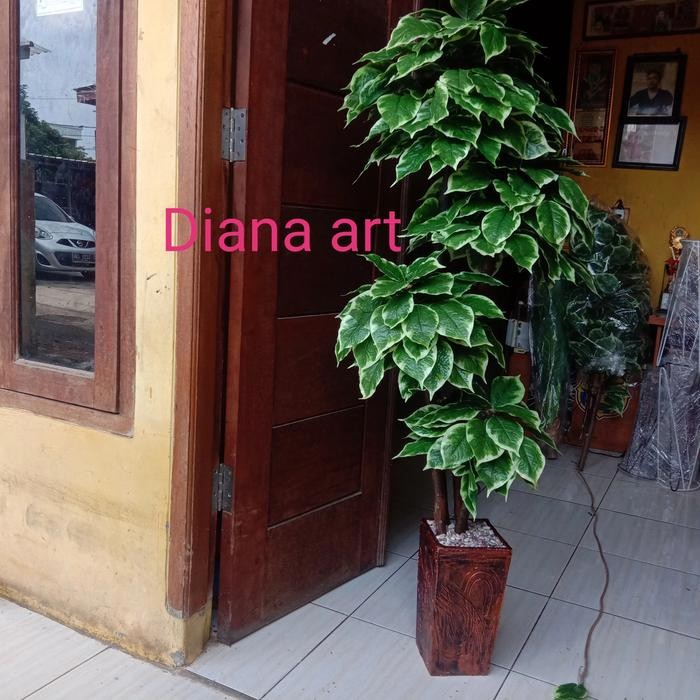 pohon bonsai#pohon sinfu#pohon plastik/tanaman palsu