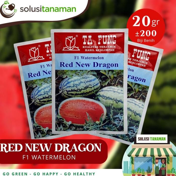 Benih Semangka Red New Dragon F1 20gr Bibit Semangka Ta Fung Benih Semangka Tafung Watermelon Bibit