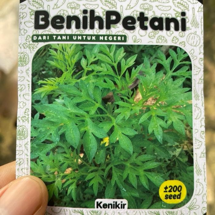 200 Biji - Benih Bibit Sayuran Keniker Lokal sayur lalap, urap-urap dll bunga ungu *