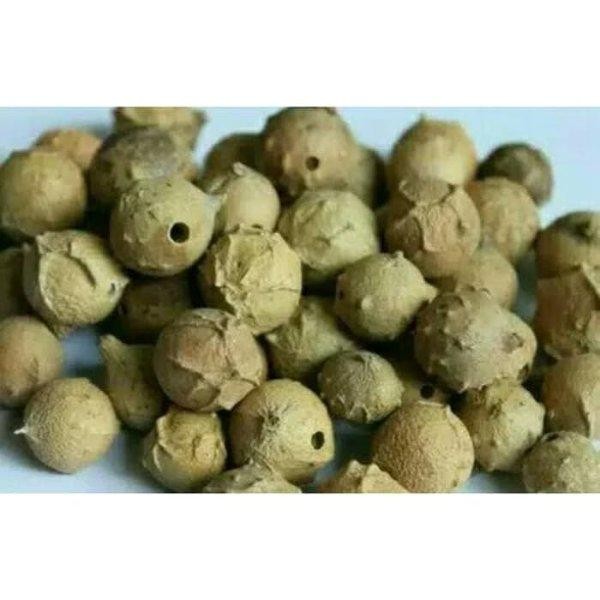

[Fresh] BUAH MANJAKANI ASLI 500gram ORIGINAL ALAMI BERKHASIAT