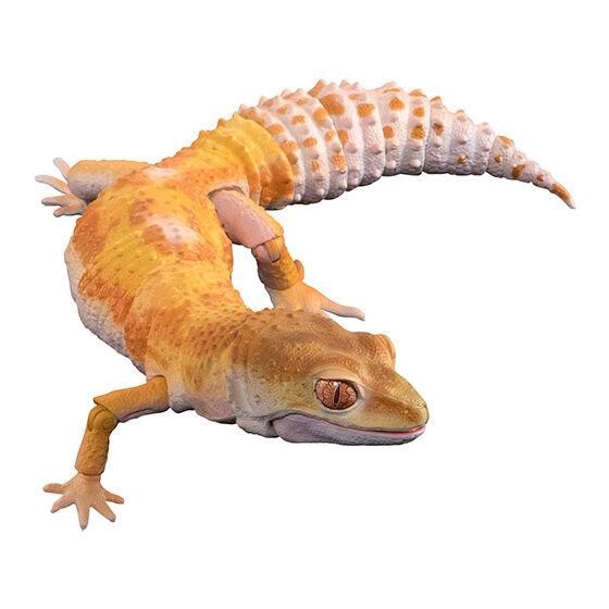 Ikimono Leopard Gecko figure Bandai tangerine black knight albino snow - Tremper albino