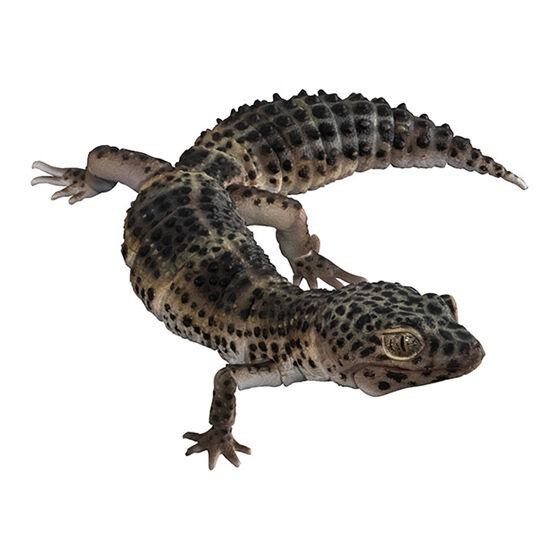 Leopard gecko  ikimono Encyclopedia Advanced premium SELECTED EDITION figure miniature bandai gashap