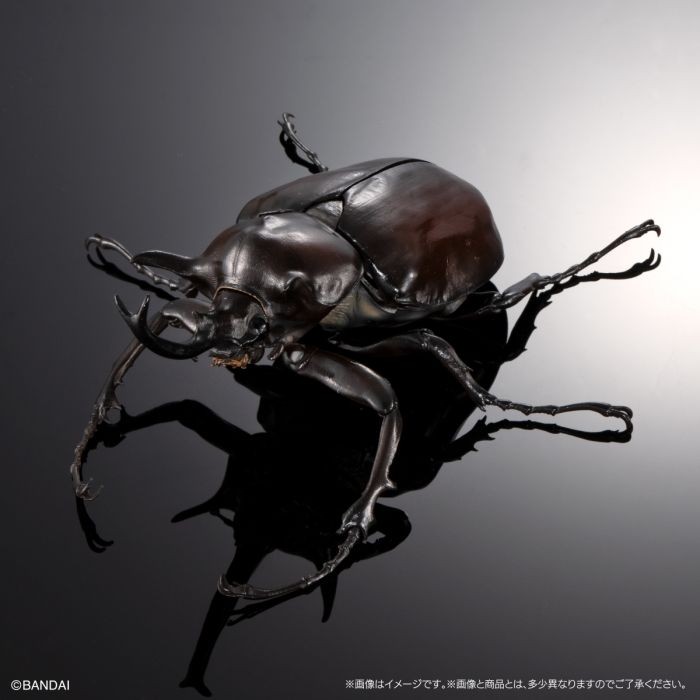 ikimono figure kumbang gajah badak elephant Beetle bandai gashapon gacha capsule toy premium - Cokel