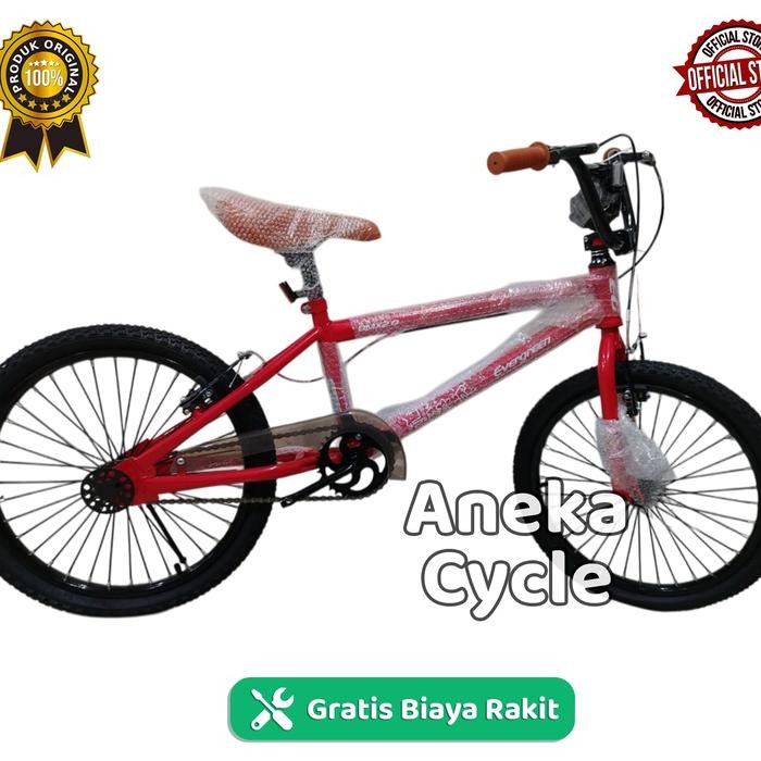 Sepeda Anak Bmx Evergreen 20.