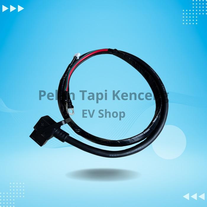 Kabel Baterai Phylion 48V