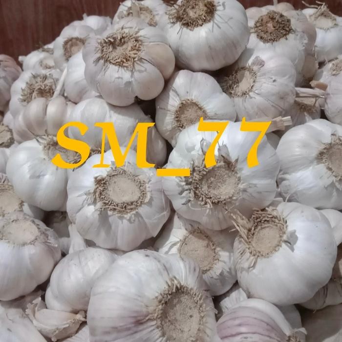 

New bawang putih 1 kg bawang putih sico bawang putih berkualitas