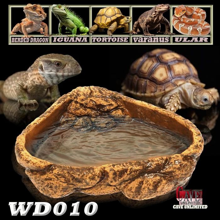 Wd010 Waterdish Water Feeding Dish Tempat Makan Minum Bearded Dragon Bd Dunner Pogona Mitchelli Ular
