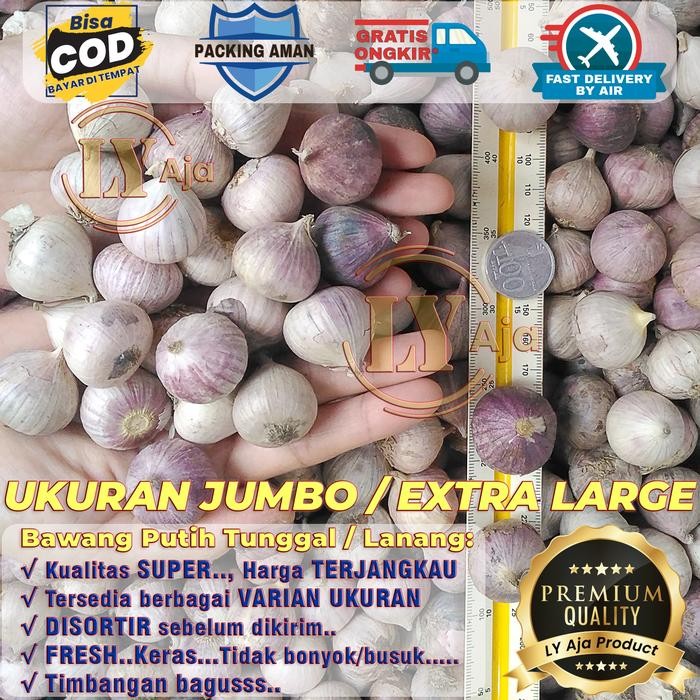 

ORIGINAL Bawang Putih Tunggal Lanang 1 Kg 1Kg Kualitas Super LY Aja READY STOCK
