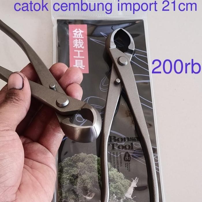 catok cembung tanaman bonsai import 21 cm