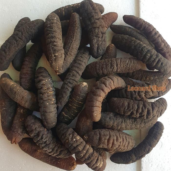 

Haisom Super Isi 7-8 Asli Bangka Belitung Teripang Hoisom Gosok Kering