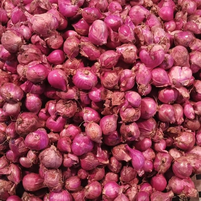 

DISKON bawang merah 1kg freesh READY STOCK