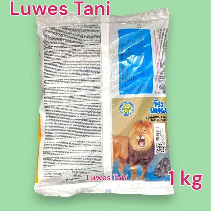 Benih Jagung Pioneer P 32 Singa 1Kg Bibit P32 Benih Jagung