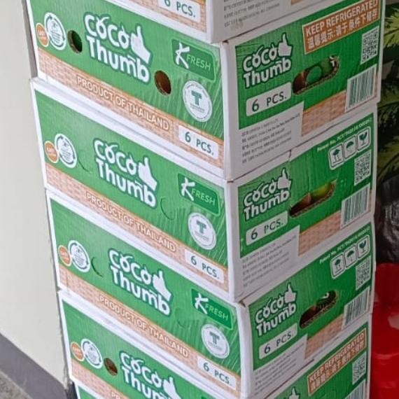 

Buah Kelapa Coco Thumb isi 6/Kelapa Thailand/Fresh/Hampers