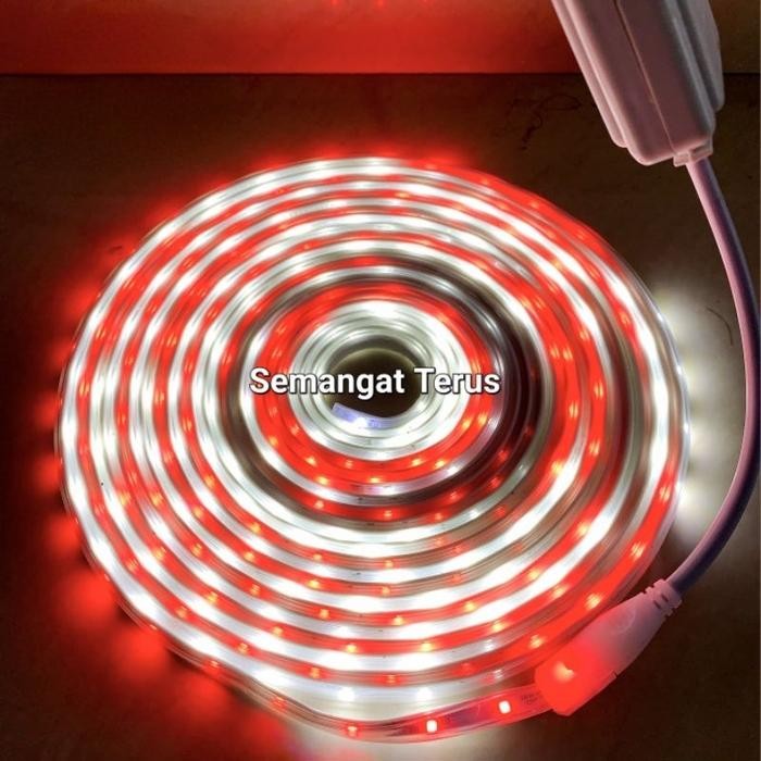 lampu strip Merah Putih /lampu hias 17 agustus/ Lampu Merah Putih