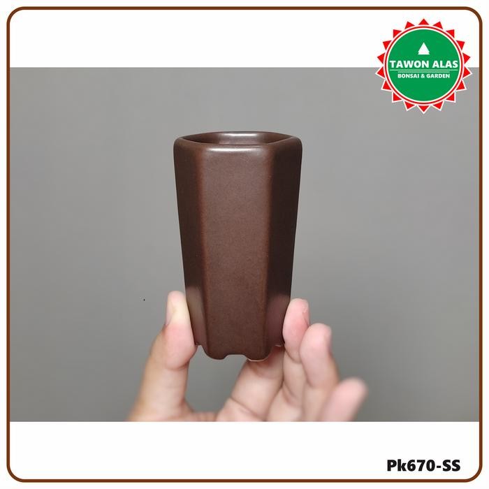 Pot Bonsai Keramik Mini Tinggi