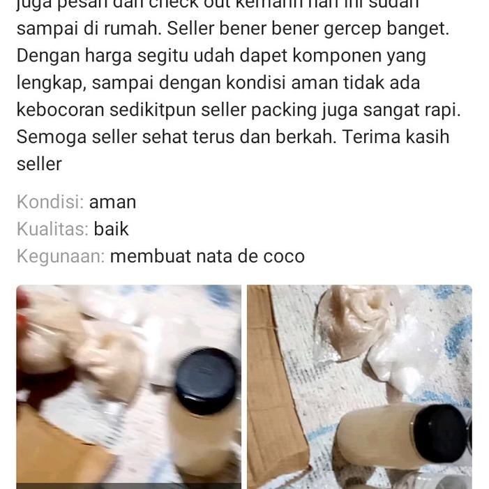 starter nata de coco bibit nata de pina nata de soya aloe vera