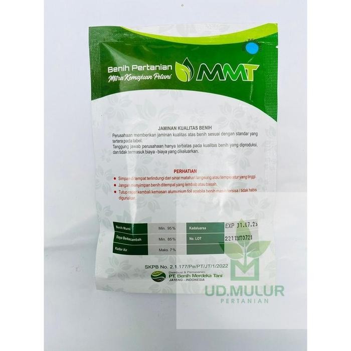 SALE  Benih Kacang Panjang KASTARA isi 100gr dr MMT MLR