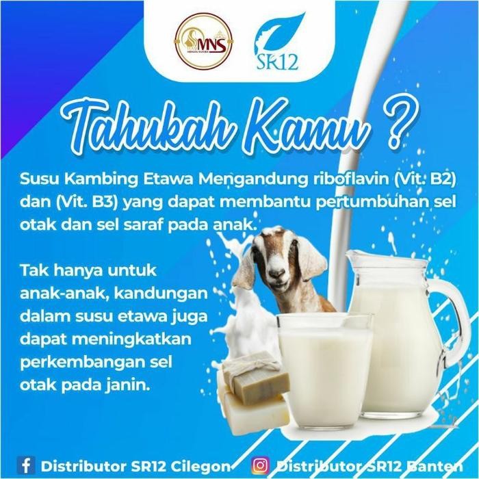 

(Expert) SR12 - Go Milku SR12 - Susu Kambing Etawa
