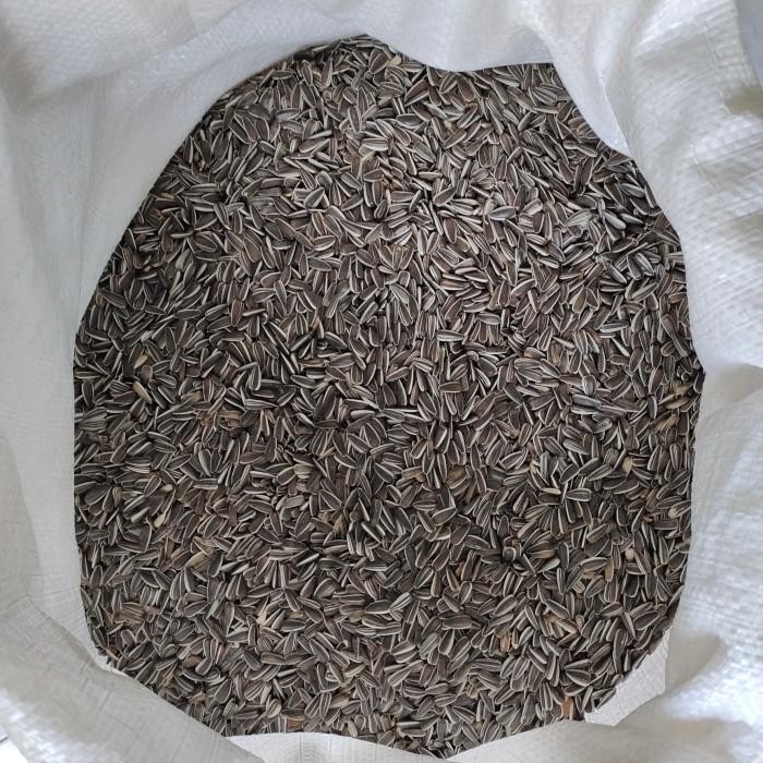 

(Expert) Kuaci Biji Bunga Matahari 1 kg Pakan Burung Hamster Kwaci Super