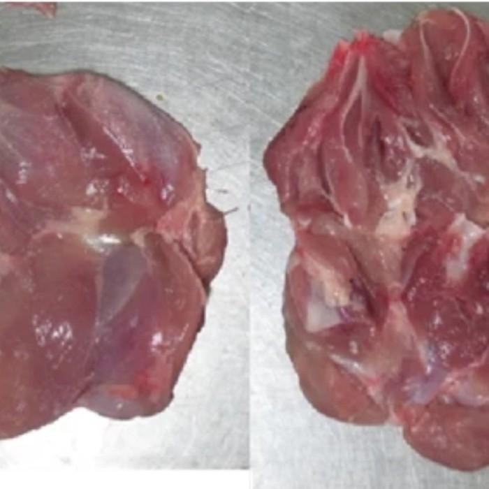 

(Expert) Fillet paha / boneless paha ayam tanpa tulang