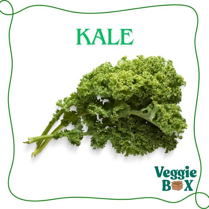 

New Sayur Organik Kale 250 gram