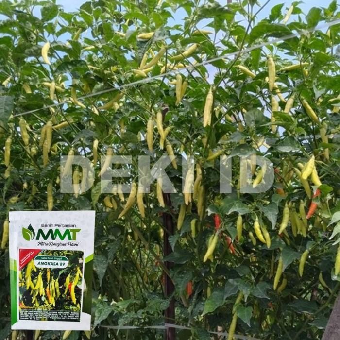 Benih Cabe Rawit Angkasa 10 Gram Bibit Cabai Unggul Mmt