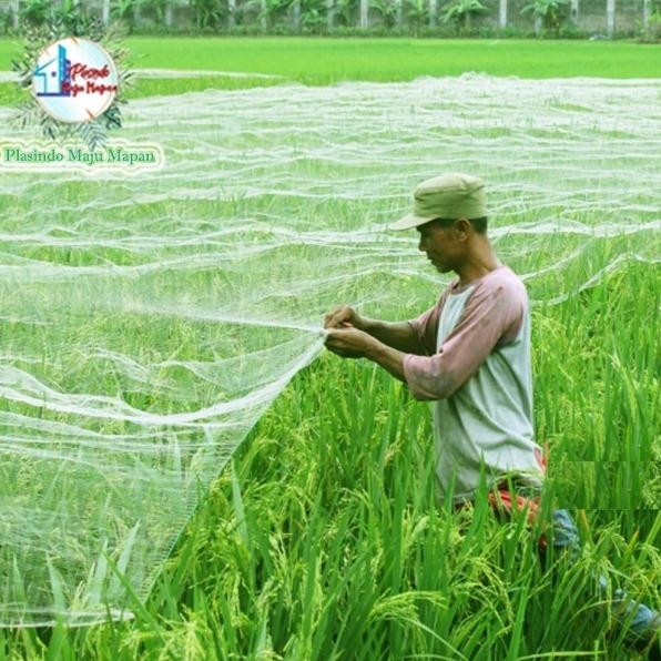 Jaring Burung 100 Yard (90 Meter) / Jaring Sawah / Jaring Ikan / Jaring Padi