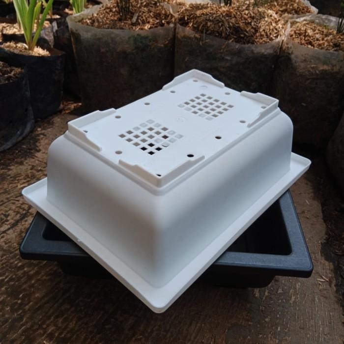 Pot Bonsai Kotak Plastik Nkt 01, Pot Bonsai Ceper Murah Bagus, Tebel